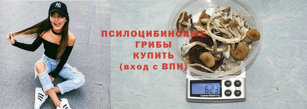 спайс Алексин